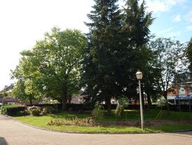 Le jardin de la mairie