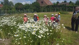 préparation de bouquet pour le fête des mères