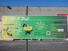 Alt'o'poils