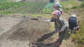 plantation nouvelle