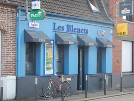 Les Bleuets
